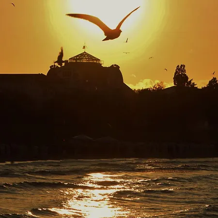 Sanddorn Mit Cafe Carlssons