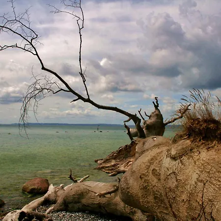 Sanddorn Mit Cafe Carlssons Binz
