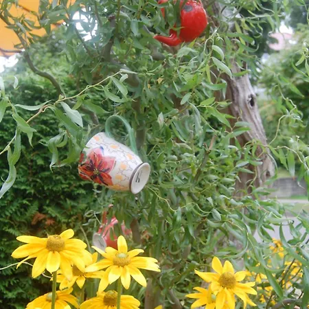 بيت ضيافة Sanddorn Mit Cafe Carlssons بينز