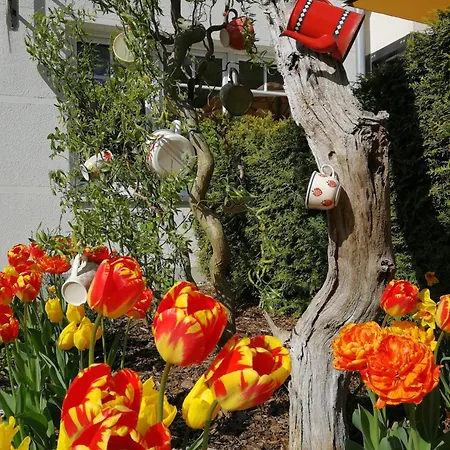 Pensjonat Sanddorn Mit Cafe Carlssons Binz