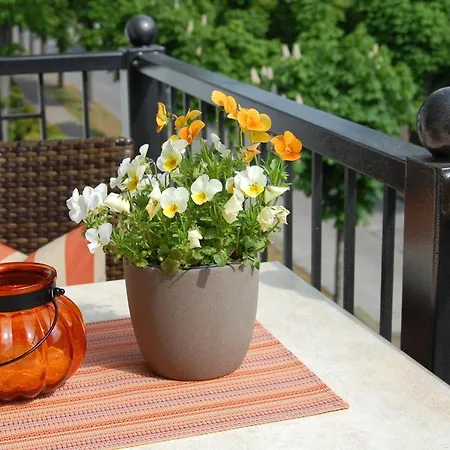 بيت ضيافة Sanddorn Mit Cafe Carlssons 4*