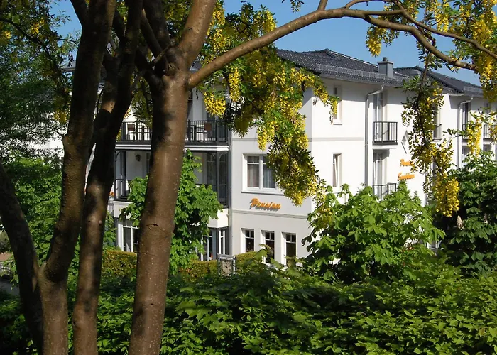 Sanddorn Mit Café Carlssons
