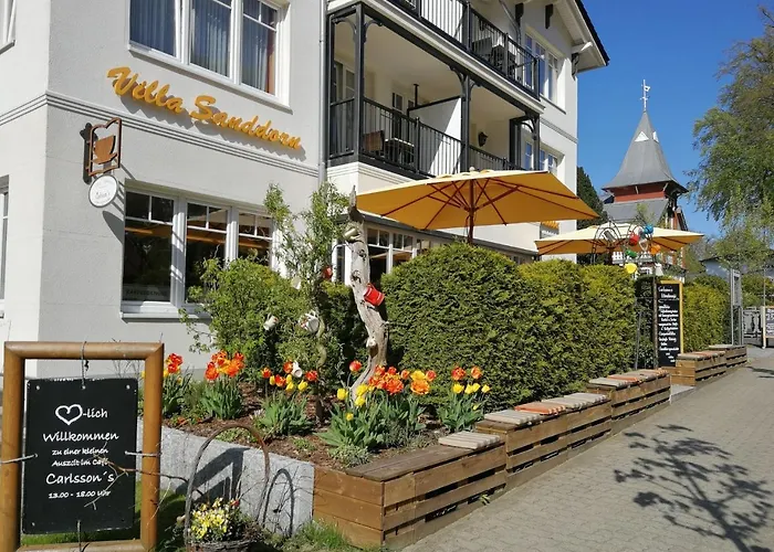 Sanddorn Mit Café Carlssons